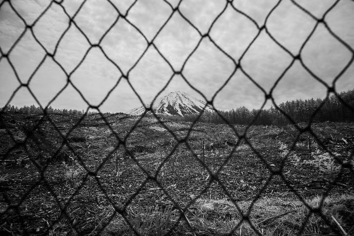 grayscale photo of chain link fence